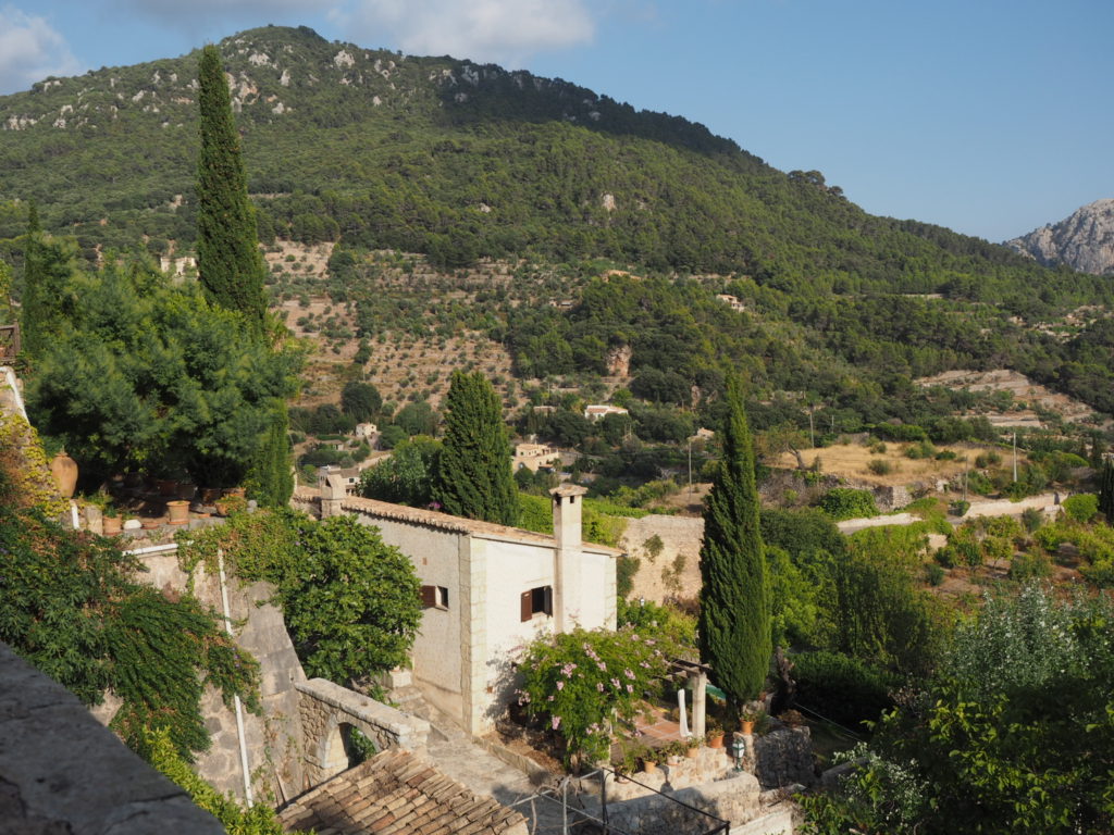 Valldemossa_Veratrends