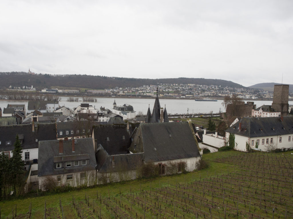 Rudesheim_Veratrends