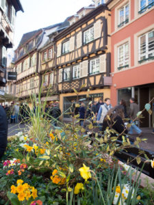 Colmar_Veratrends